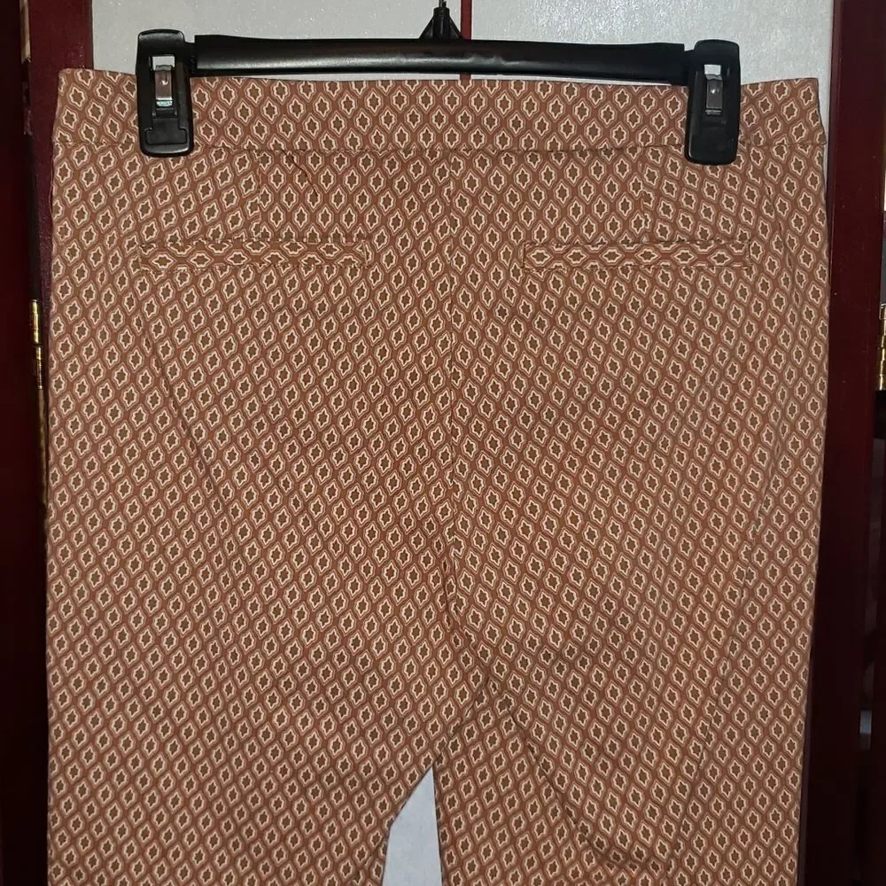 Adrienne Vittadini Brown/Tan Straight Leg Pants